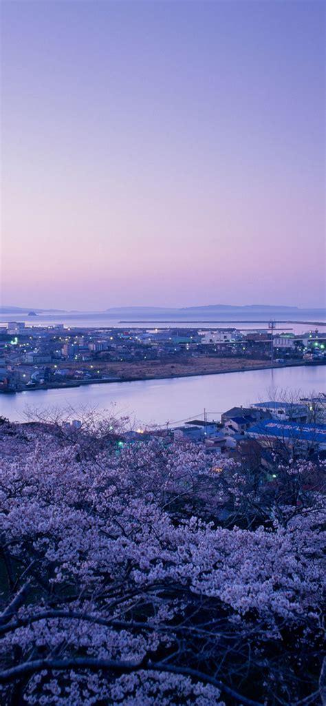 Japan Wallpaper 4K (67+ images)