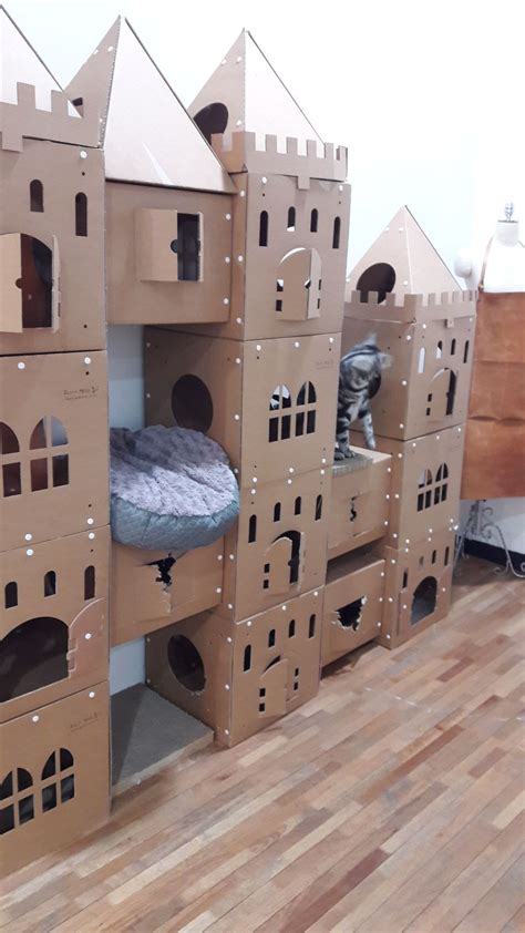 Cat Castle If I Were To Have Cats Cardboard Cat House Cardboard