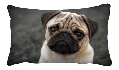 Phfzk Animal Pillow Case Portrait Of Beautiful Pug Puppy Pillowcase