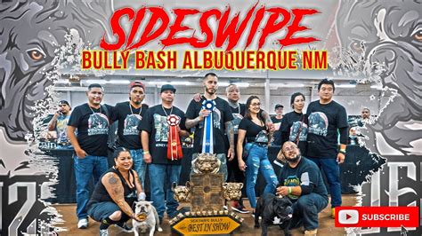 American Bully Show Albuquerque NM USBR Event Sideswipe Bully Bash