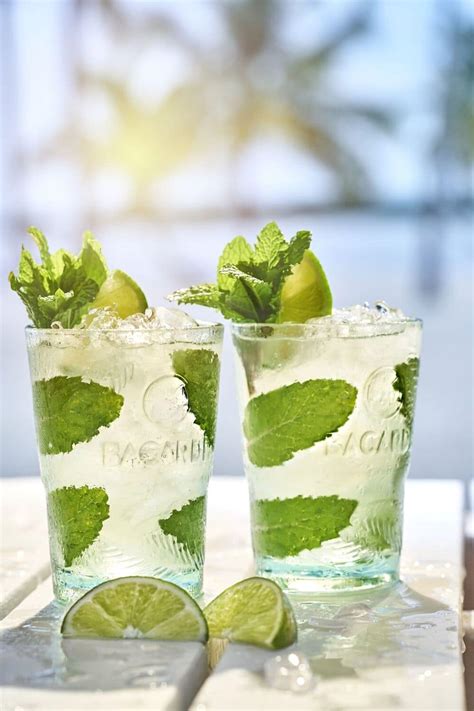 Grow Your Own Mojito Mint Mojito Ingredients BacardÍ Uk