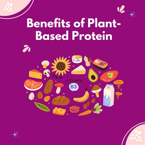A Guide To Plant Based Protein Benefits And Sources Angel Starch