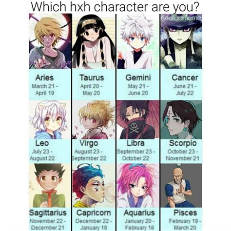 Which Hxh Character Are You Based On Zodiac Signs Memes De Anime