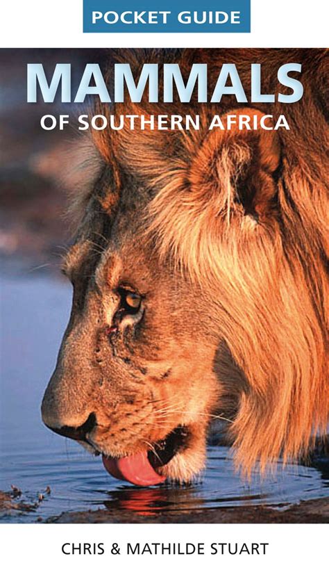Pocket Guide To Mammals Of Southern Africa By Stuart Chris And