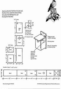 American Kestrel Bird House Plans Custom Wood Craft