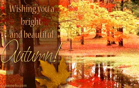 Wishing You A Bright And Beautiful Autumn Pictures Photos