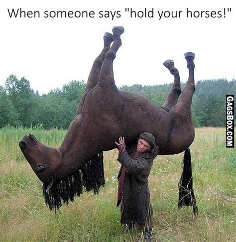 Hold your horses, sometimes said as hold the horses, wait. Hold Your Horses | GagsBox