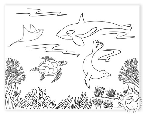 Coloring Pages Of Sea Animals For Preschoolers