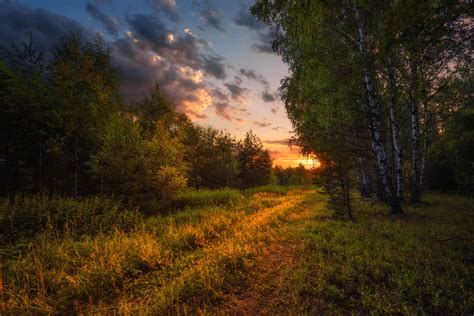 закат в лесу Фотограф Виталий Полуэктов Фото № 51865