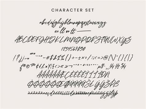 Drettany Signature Font Brush Script Font Signature Fonts Etsy