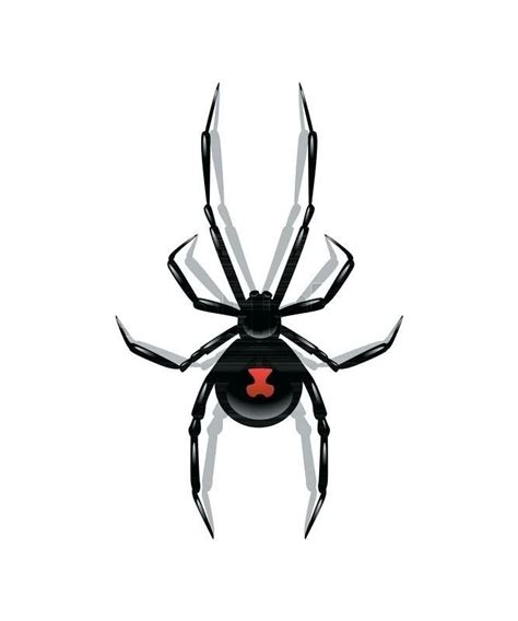 Black Widow Spider Black Widow Spider Tattoo Black Widow Tattoo
