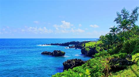 tropical water, Tropical forest, Hawaii, Isle of Maui, Maui, Palm trees ...