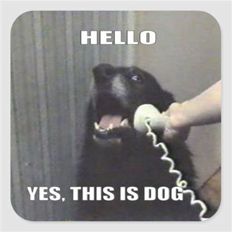 Hello, Yes this is Dog Square Sticker | Zazzle.com in 2020 | Funny dog