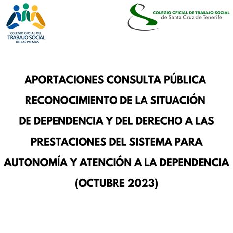 Aportaciones En La Fase De Consulta Pública Previa Reconocimiento De La Situación De Dependencia