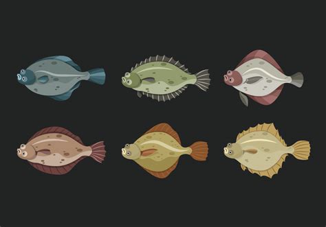 Flounder Fish Cute Vector Illustration 171924 Vector Art At Vecteezy