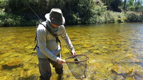 Snowy Mountains And Swampy Plains River Experience Calder Fly Fishing