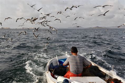 Los pescadores, los verdaderos pescadores, no entendían por qué llevaban unas camisas tan extravagantes. Fotos: El trabajo de los pescadores del Mar Menor, en ...