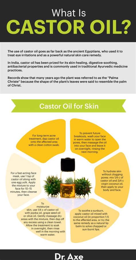 Castor Oil Benefits Uses Dosage And Side Effects Dr Axe What Is