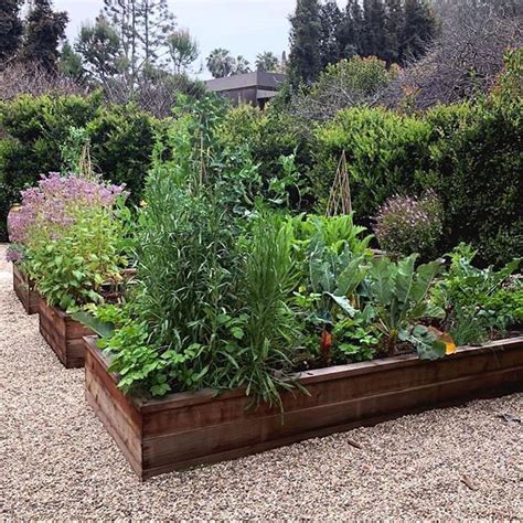 Luv These Beautiful Overflowing Raised Beds Brimming With Herbs And Veg