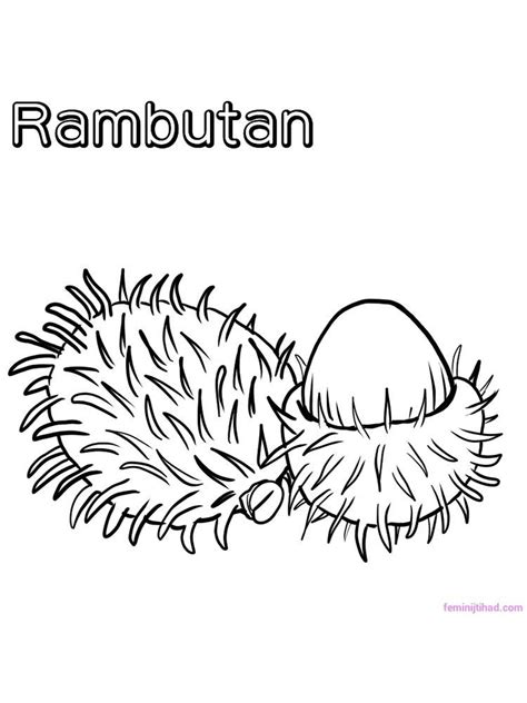 Free rambutan coloring pages for kids to download or to print. Rambutan Coloring (Dengan gambar) | Buah