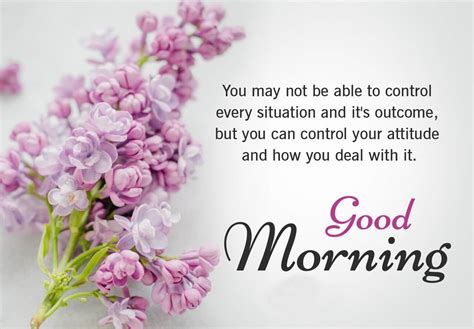55 Good Morning Messages Images Pictures List Bark