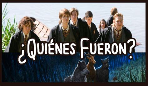 Los Merodeadores Todo Lo Que Necesitas Saber🐾 Harry Potter Español