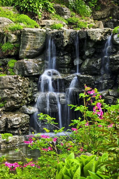 Cascading Waterfall Stock Photo Image Of Bloom Peace 5461850