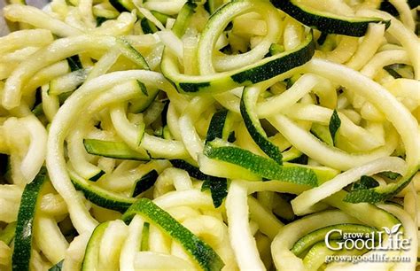 Blanching — giving the zucchini a quick dunk in boiling water — deactivates the enzymes that would otherwise cause the zucchini to become mushy and discolored. 5 Ways to Freeze Zucchini