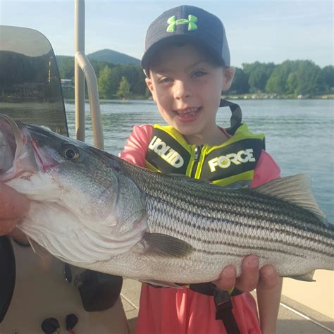 The department of game and inland fisheries stocks the lake yearly with muskie and striped bass. October 2018 Smith Mountain Lake Fishing Report by Captain ...