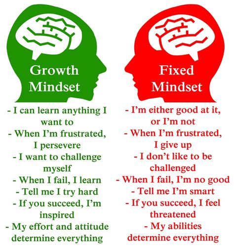 Why We Should All Try To Have A Growth Mindset Positlive
