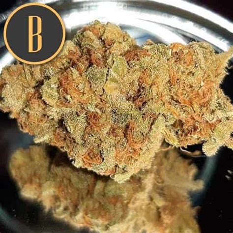 Grizzly Purple Kush Cannabis Seeds For Sale By Blimburn