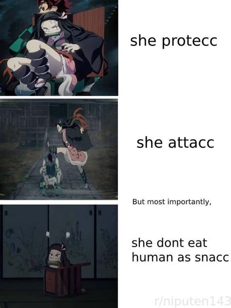 18 hilarious nezuko memes that prove she must be protected at all costs slayer meme funny