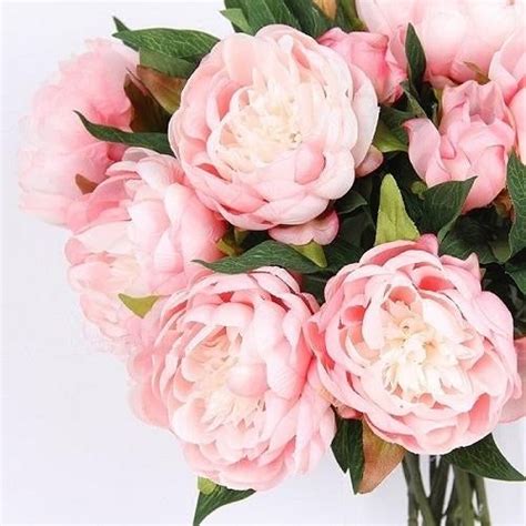 shop floralgoods silk peony stem in light pink 20 tall free shipping on orders over 45