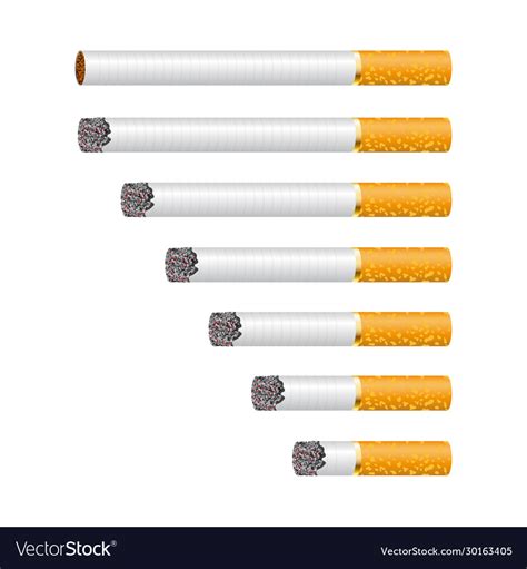 Cigarette Smoldering Isolated Royalty Free Vector Image
