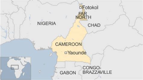 Cameroon Bans Islamic Face Veil After Suicide Bombings Bbc News