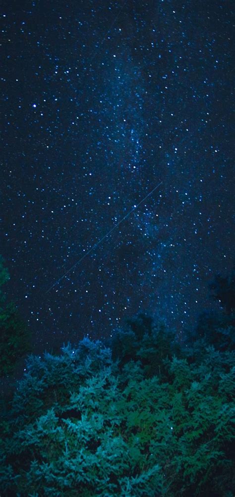 Starry Sky Stars Night Trees Wallpaper 720x1520