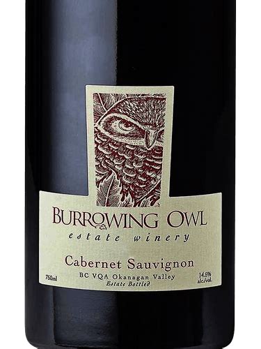 2019 Burrowing Owl Cabernet Sauvignon Vivino United States