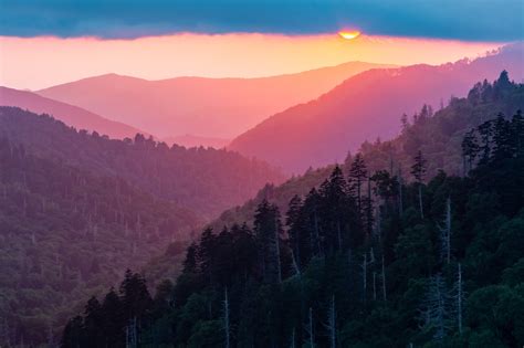 A Tree Falling Great Smoky Mountains National Park Morton Overlook Sunset