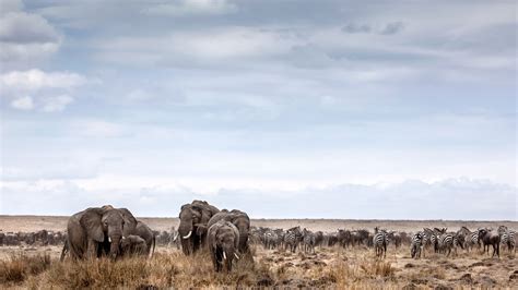 Karibu Kenya Safari | African Safari in the Masai Mara| andBeyond