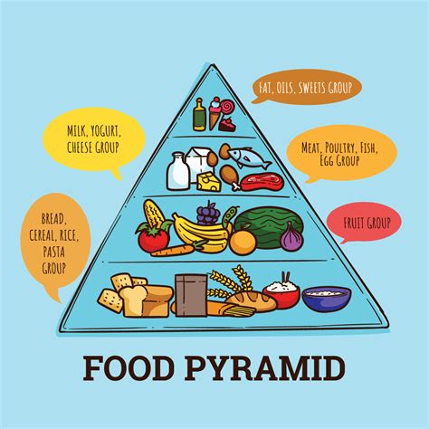 Food Gambar Piramid Makanan Kartun Cartoon Food Pyramid Stock Porn