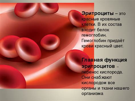 High Hemoglobin Hematocrit High Hemoglobin Count Causes Treatments