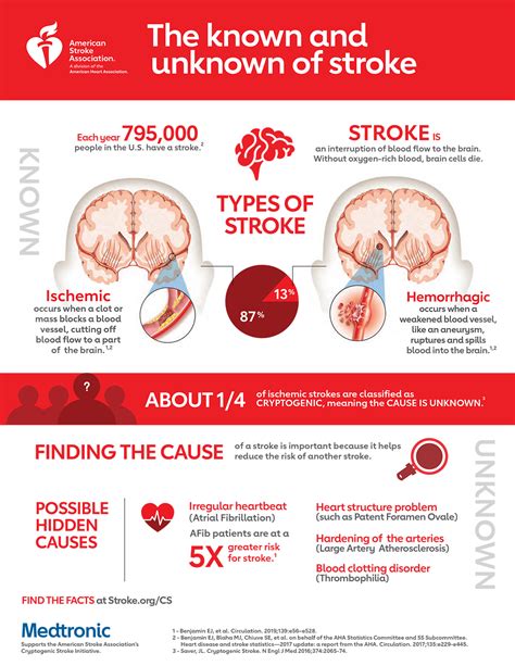 the known and unknown of stroke infographic american stroke association