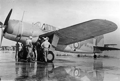 Brewster Bermuda Ff775 Nas New Orleans World War Photos