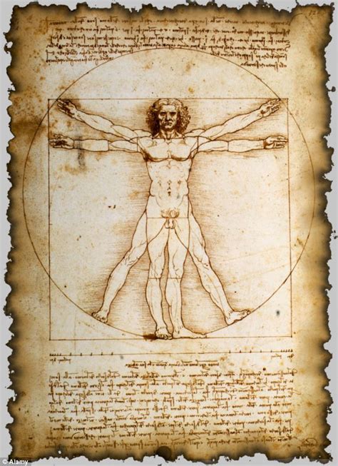 Leonardo Da Vinci S Vitruvian Man Was Copied From Giacomo Andrea Da Ferrara Daily Mail Online