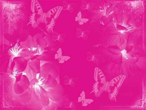 Free Download Awesome Pink Butterfly Wallpaper Background Free Download