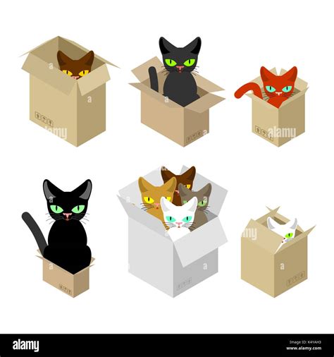 Cat In Box Set Pet In Cardboard Box Vector Illustration Stock Vector