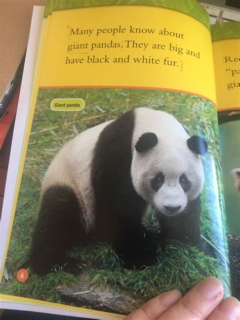 National Geographic Kids Readers Level1 Red Pandas