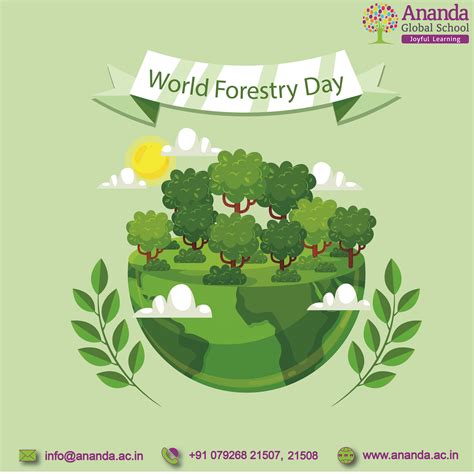 🧑 International Forest Day Is Celebrated Every Year To Raise Awareness