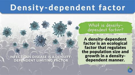 Density Dependent Factor Definition And Examples Biology Online