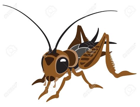 Cricket Insect Clipart 20 Free Cliparts Download Images On Clipground